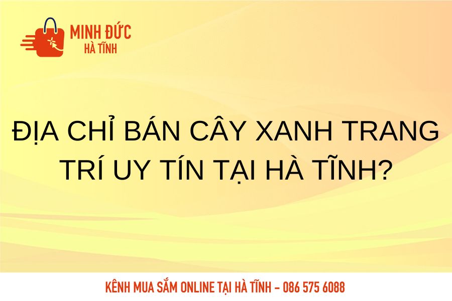 Dia chi ban cay xanh trang tri uy tin tai Ha tinh
