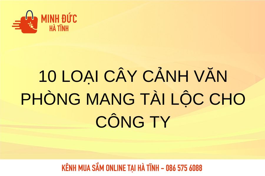 10 loai cay canh van phong mang tai loc cho cong ty