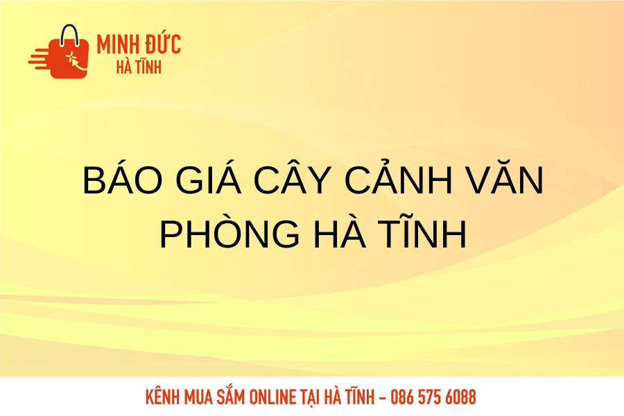 Bao gia cay canh van phong tai Ha Tinh
