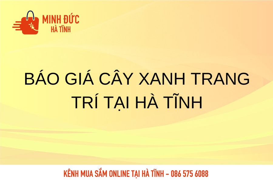 Bao gia cay xanh trang tri tai Ha Tinh