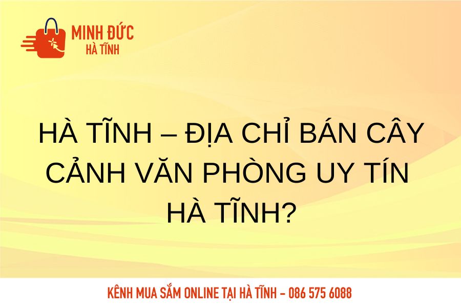 Ha Tinh dia chi ban cay canh van phong uy tin Ha Tinh