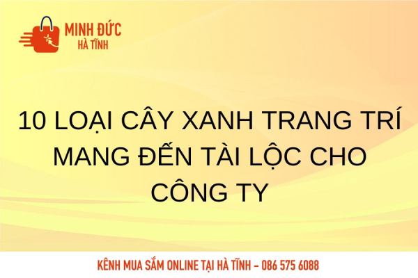 10 loại cây xanh trang trí mang đến tài lộc cho công ty