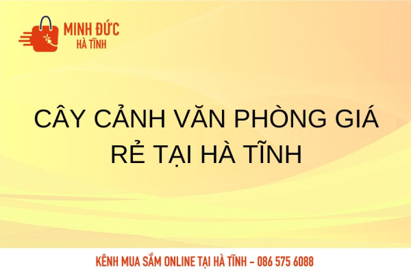  Cây cảnh văn phòng giá rẻ tại Hà Tĩnh