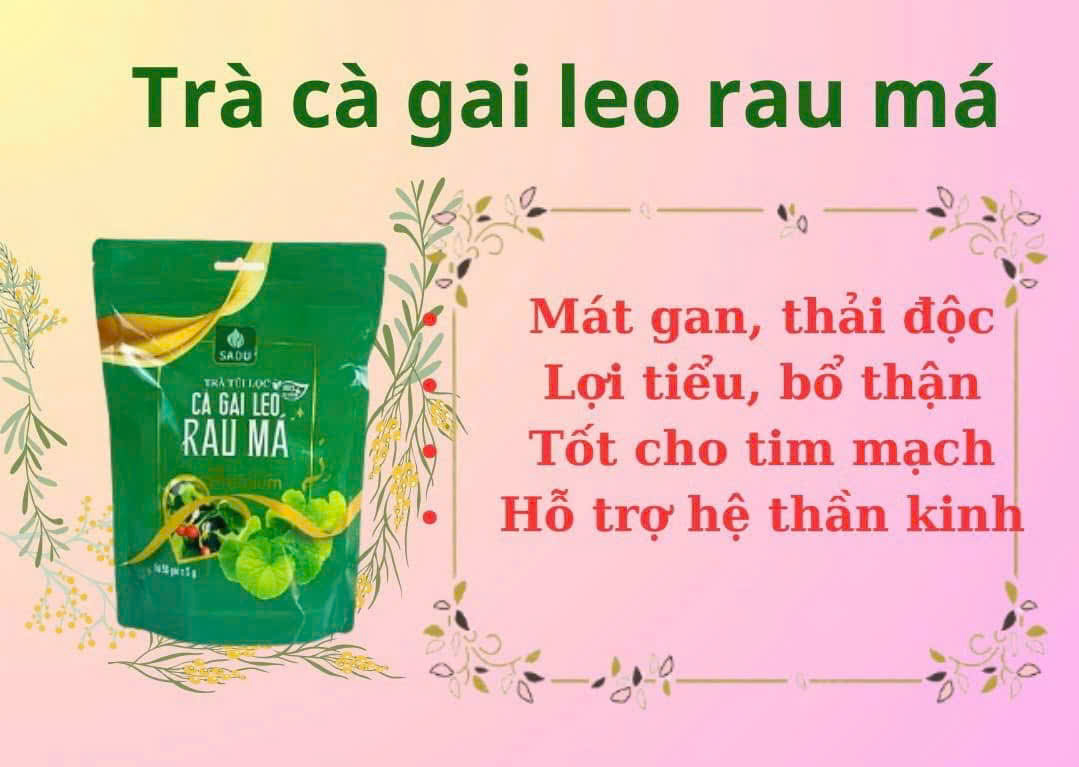 Trà cà gai leo rau má